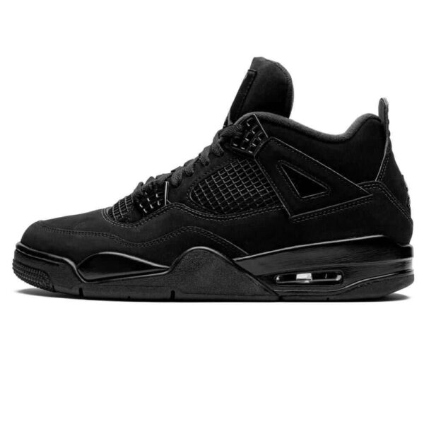 Air Jordan 4 'Black Cat'