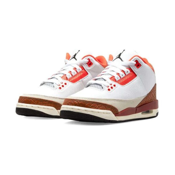 Air Jordan 3 'Dunk on Mars'